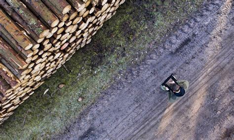 logstackpro|LogStackPRO: fast, reliable photo measurements of raw wood stacks.